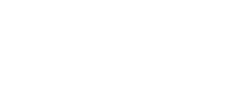 Brettwerk Logo